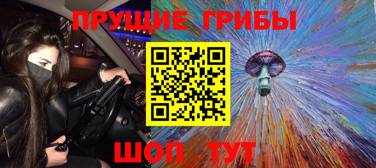 Галлюциногенные грибы Psilocybe Соликамск