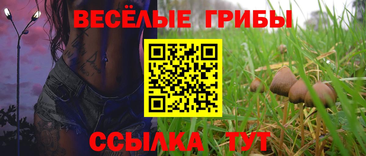Галлюциногенные грибы Cubensis  Вход с VPN  Соликамск  Галлюциногенные грибы прущие грибы 